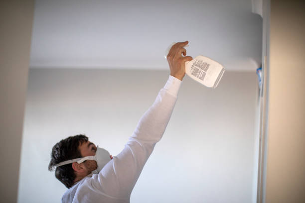 Best Mold Remediation  in Worthington, KY