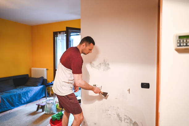 Best Mold Removal Company Near Me  in Worthington, KY